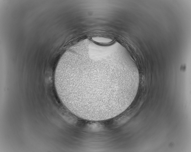 X0000091530561200709141437