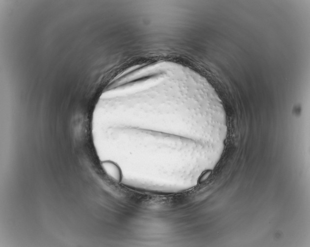 X0000091530563200709141437