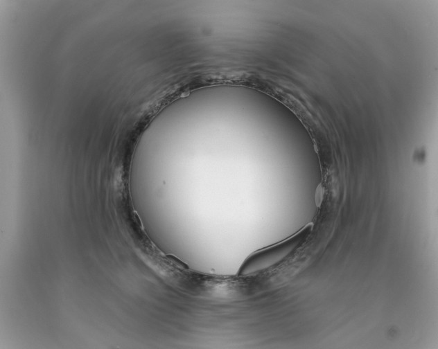 X0000091530564200709141437