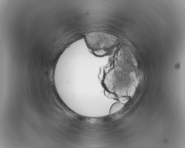 X0000091530565200709141437
