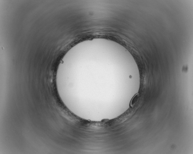 X0000091530567200709141437