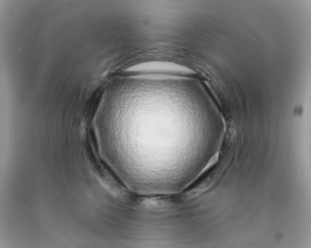 X0000091530568200709141437