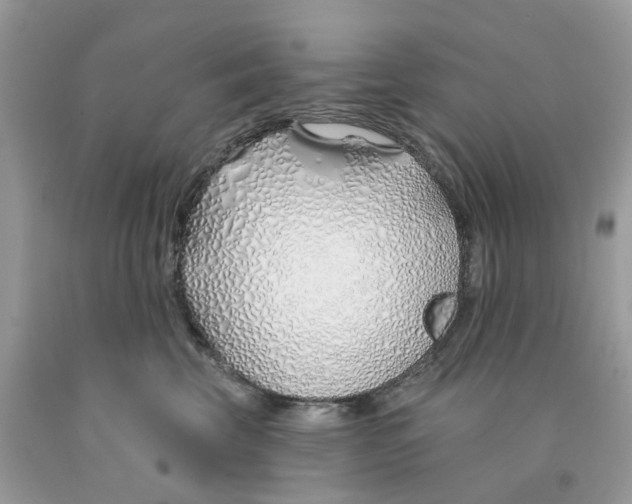 X0000091530569200709141437