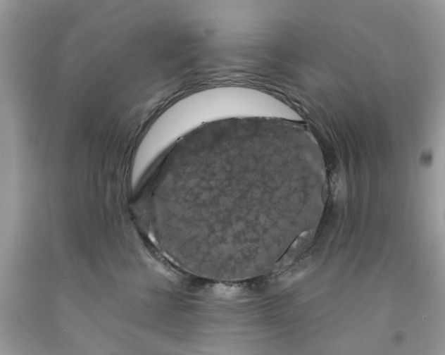 X0000091530570200709141437
