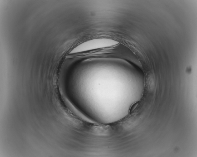 X0000091530571200709141437