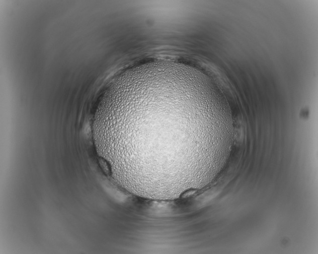 X0000091530573200709141437