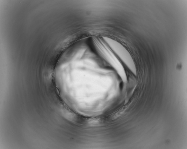 X0000091530574200709141437