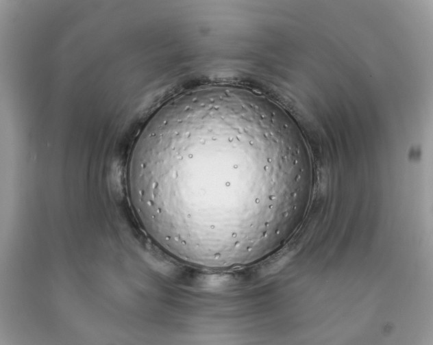 X0000091530575200709141437