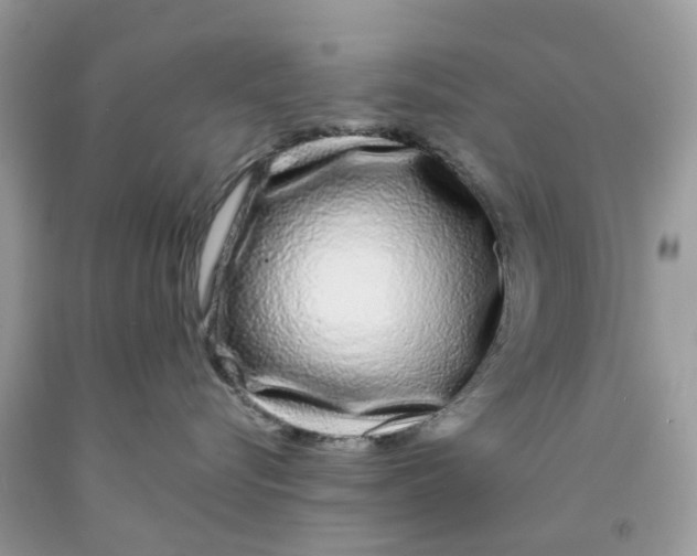 X0000091530576200709141437