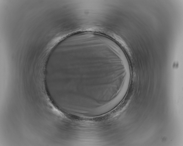X0000091530577200709141437