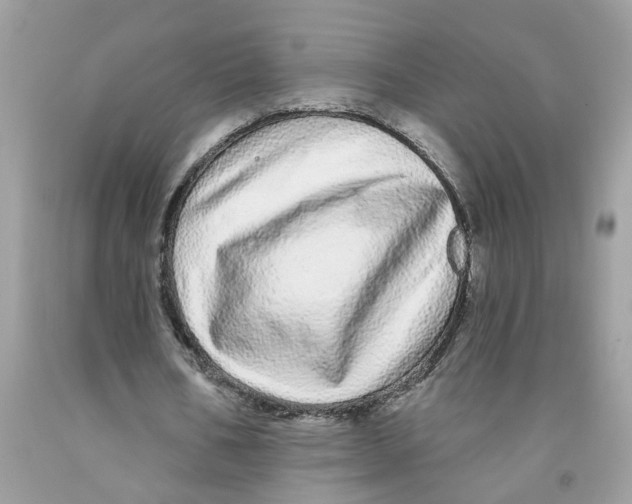 X0000091530578200709141437