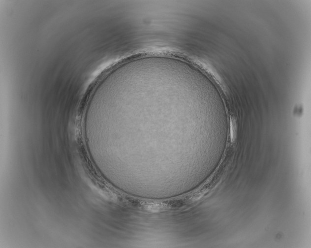 X0000091530579200709141437