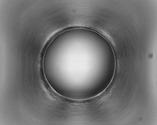 X0000091530580200709141437