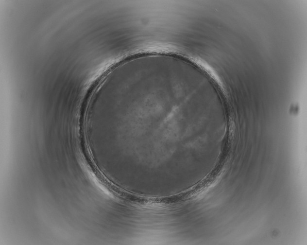 X0000091530581200709141437