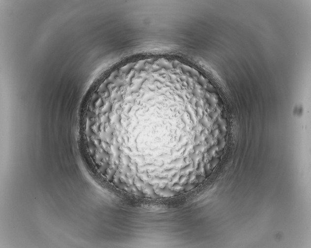 X0000091530582200709141437