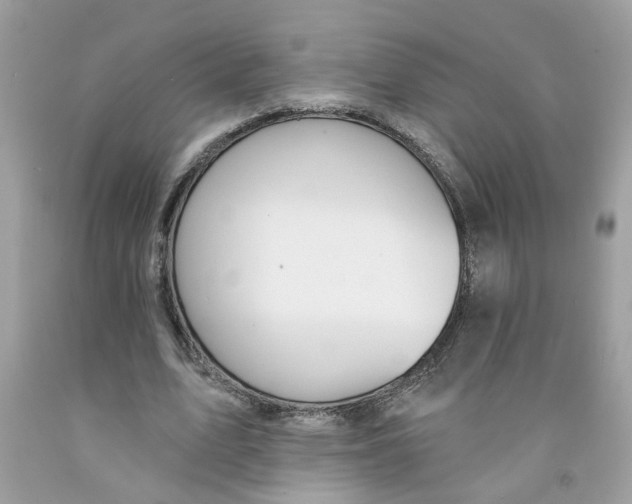 X0000091530583200709141437