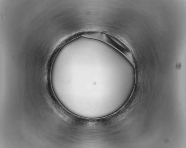 X0000091530584200709141437