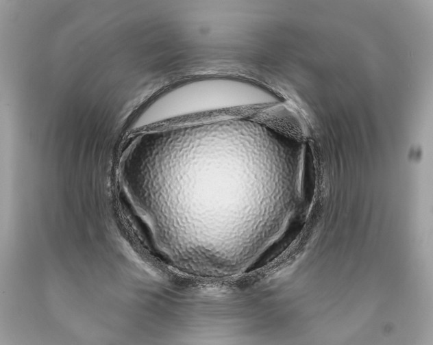 X0000091530585200709141437