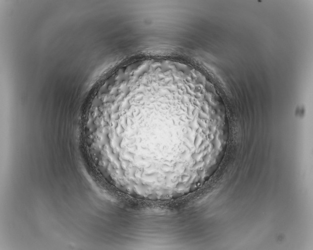 X0000091530586200709141437