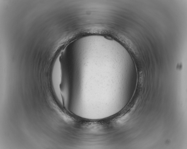 X0000091530589200709141437