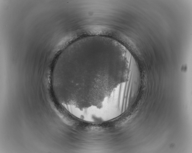 X0000091530590200709141437