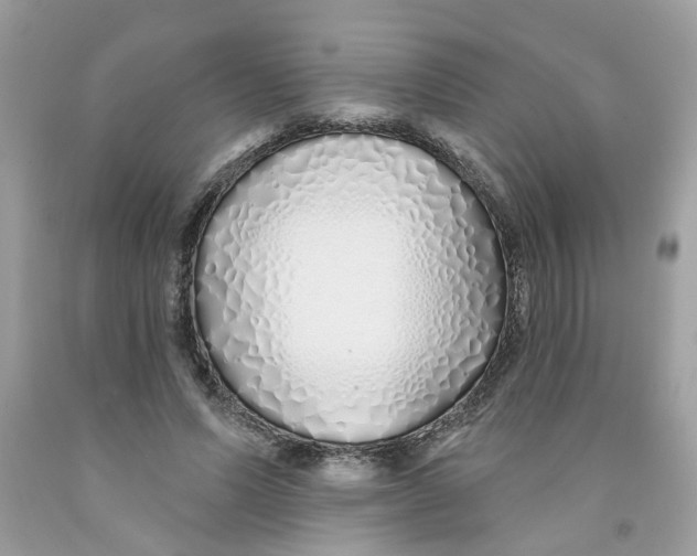 X0000091530591200709141437
