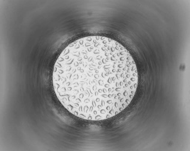 X0000091530592200709141437