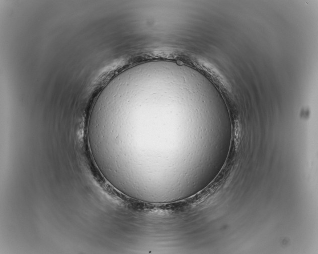 X0000091530593200709141437