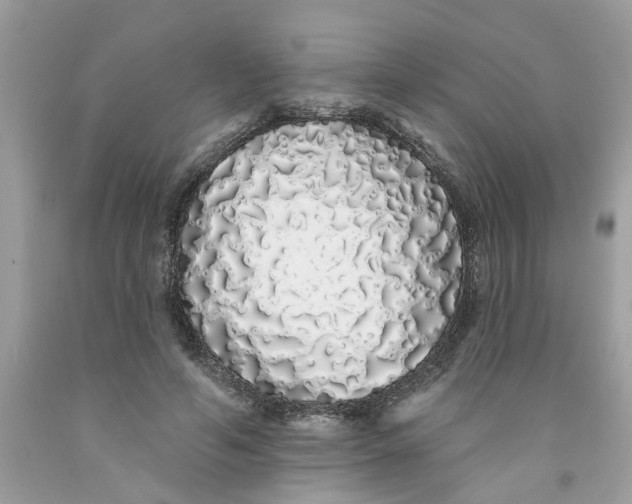 X0000091530594200709141437