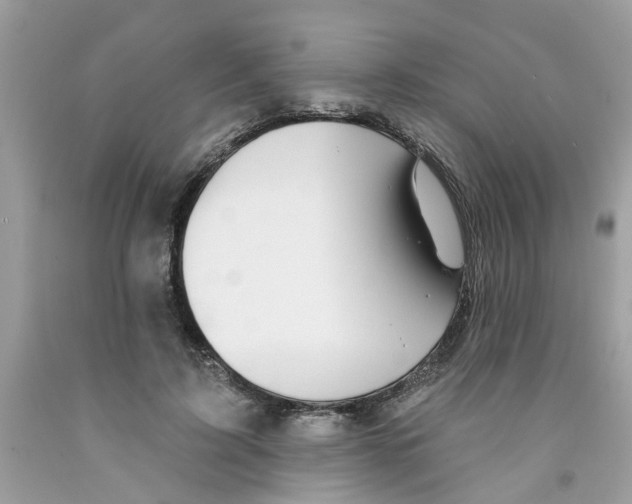 X0000091530595200709141437