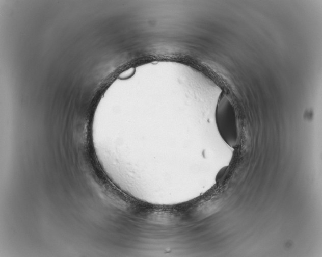 X0000091530596200709141437