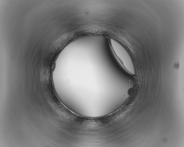 X0000091530597200709141437