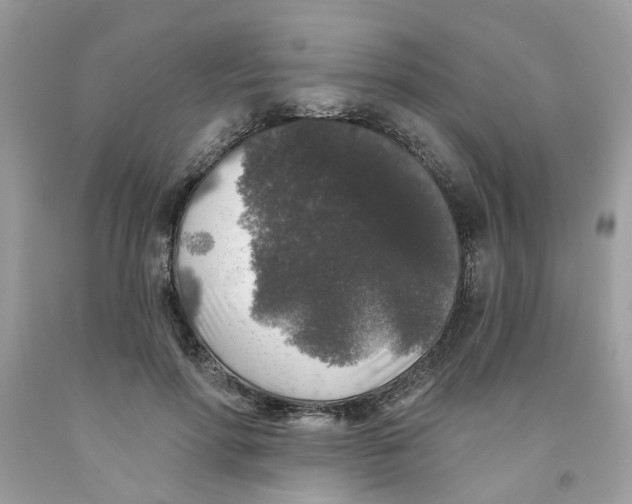 X0000091530598200709141437