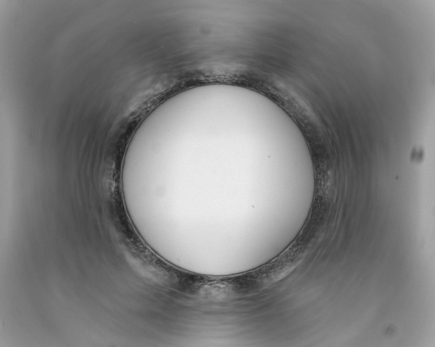 X0000091530599200709141437