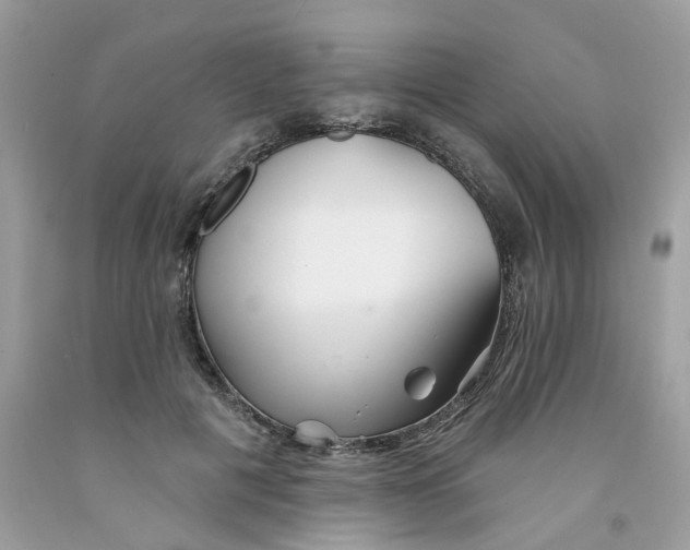 X0000091530601200709141437
