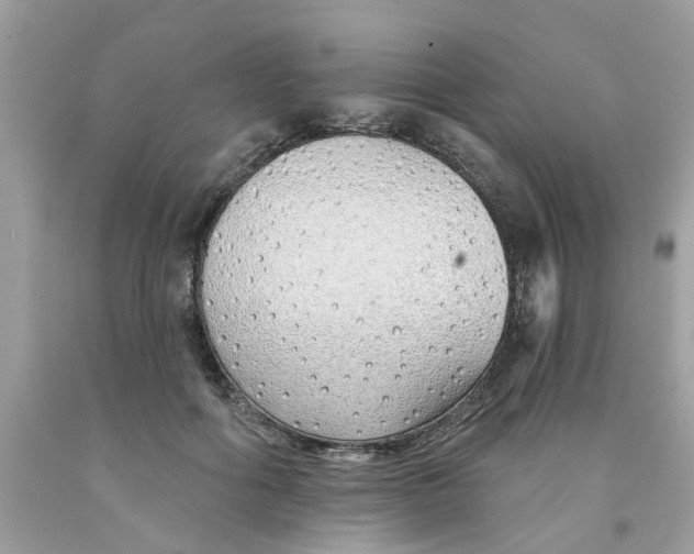 X0000091530602200709141437