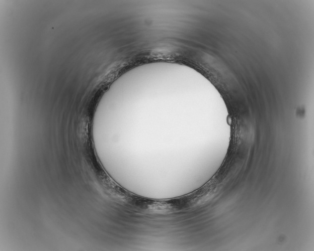 X0000091530603200709141437