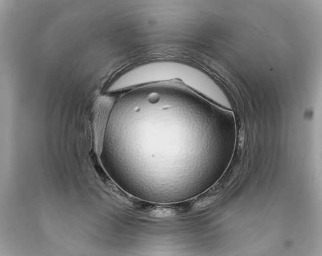X0000091530604200709141436