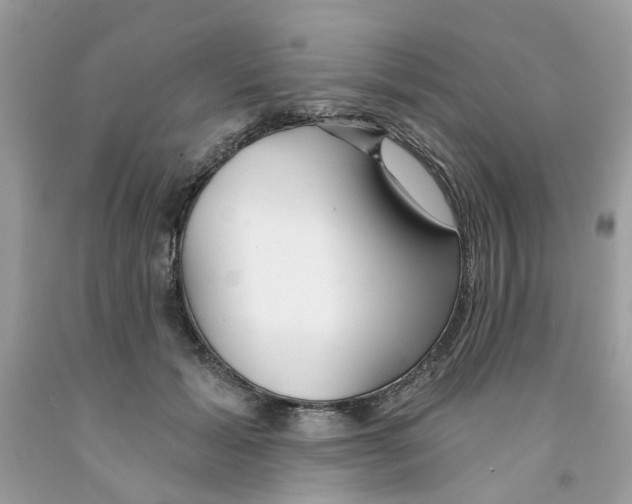 X0000091530605200709141436