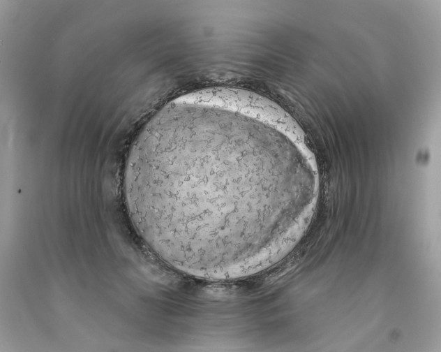 X0000091530606200709141436
