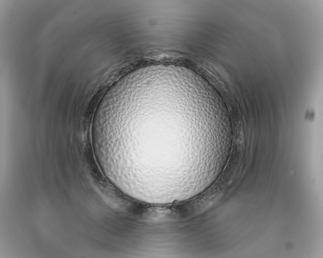 X0000091530607200709141436
