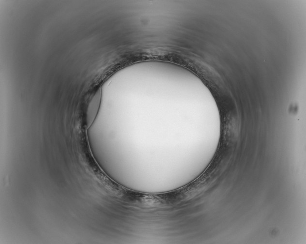 X0000091530608200709141436