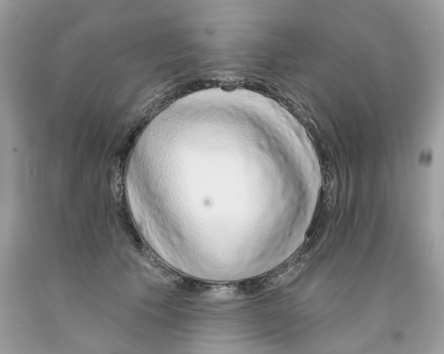 X0000091530609200709141436