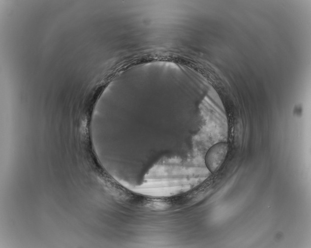 X0000091530610200709141436