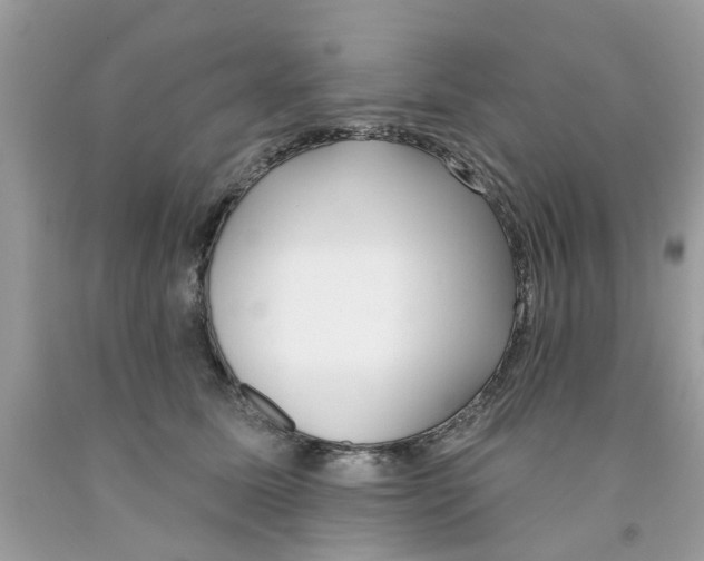 X0000091530611200709141436