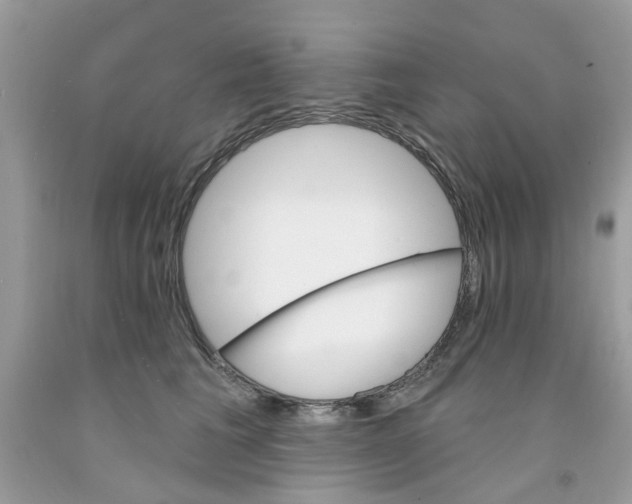 X0000091530613200709141436