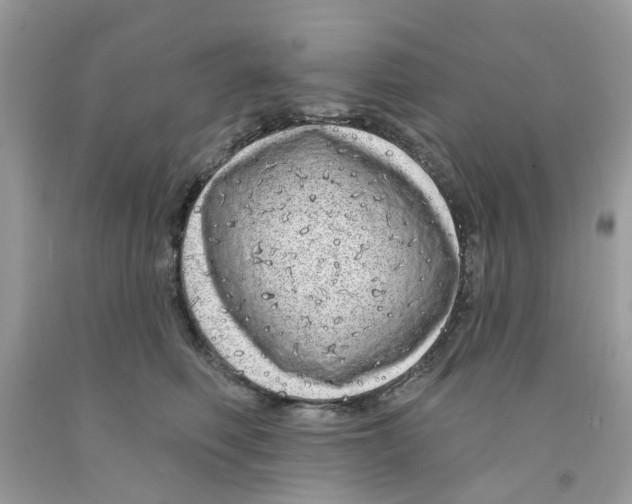 X0000091530614200709141436