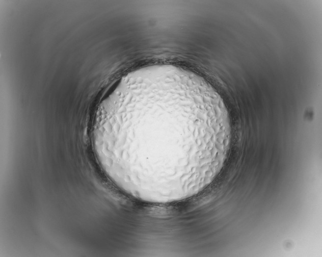 X0000091530615200709141436