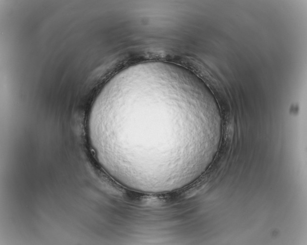 X0000091530616200709141436