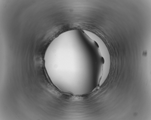 X0000091530617200709141436
